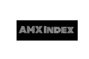 Обзор брокера AMX INDEX: условия сотрудничества, отзывы