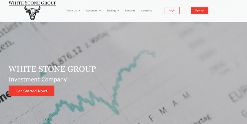 Обзор инвестиционной компании White Stone Group: тарифные планы и отзывы клиентов