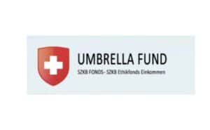 Подробный обзор инвестиционной платформы Umbrella Fund: типы счетов и отзывы клиентов