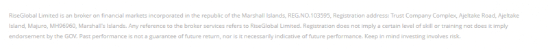 RiseGlobal: отзывы вкладчиков и обзор коммерческих предложений