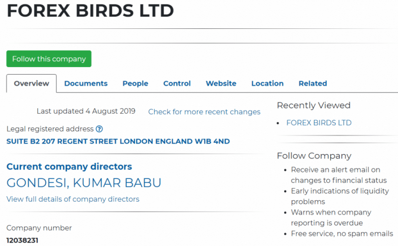 Обзор Forex Birds: торговые предложения форекс-брокера