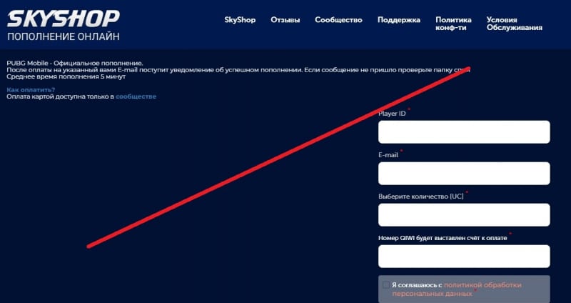 SkyShop — отзывы о сервисе пополнения игр skyshopmarket.ru