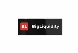 Обзор условий BigLiquidity: проверка достоверности фактов, отзывы