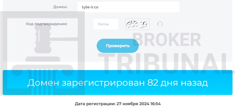 Tylineir — клонированный лжеброкер, плетущий мошеннические сети