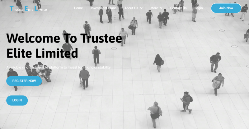 Trustee Elite Limited отзывы. Обман?